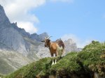 (2018) Picos de Europa, Spain_7