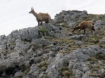 (2018) Picos de Europa, Spain_4