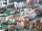 (1982) Bryce National Park, Utah