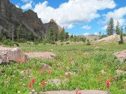 (2010) High Uintas Wilderness, Utah_1