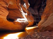 (2018) Wire Pass to Buckskin Gulch, Utah_2