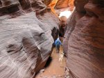 (2018) Wire Pass to Buckskin Gulch, Utah_3