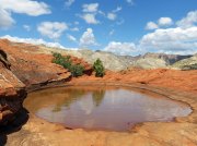 (2019) Snow Canyon, Utah