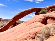 (2022) Cobra Arch, Utah