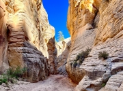 (2022) Lick Wash, Utah