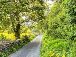 (2023) Snowdonia, Wales_4