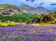 (2023) Snowdonia, Wales_9