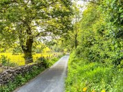 (2023) Snowdonia, Wales_4