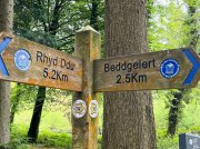 (2023) Snowdonia, Wales_5