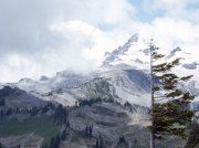 (1981) Mt. Rainier, Washington