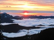 (2010) Mt. Rainier Foothills, Washington