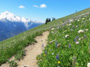 (2013) Lyman Lakes Loop, Washington_1