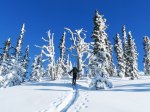 (2014) Sherman Peak, Washington_1