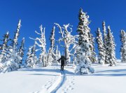 (2014) Sherman Peak, Washington_1
