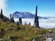 (2019) Mt. St. Helens, Washington