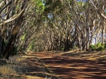 (2017) Kangaroo Island, South Australia_1