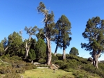 (2017) Walls of Jerusalem Circuit, Tasmania_4