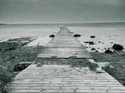 (2025) Saaremaa, Estonia_1