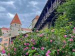 (2025) Tallinn, Estonia_5