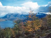 (1990) Torres del Paine National Park, Chile_4