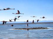(2023) Atacama Desert, Chile_6