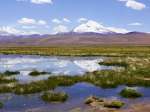 (2023) Atacama Desert, Chile_8
