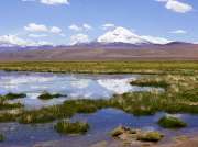 (2023) Atacama Desert, Chile_8