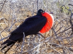 (2021) Ecuador_9