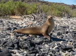 (2021) Ecuador_25