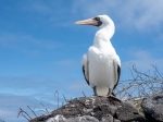(2021) Ecuador_2