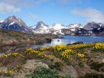 (2018) Greenland_11