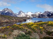 (2018) Greenland_11