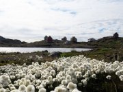 (2018) Greenland_2