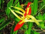 (2017) Nani Mau Gardens, Hawaii_13