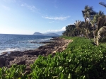 (2017) Oahu, Hawaii_1