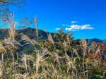 (2023) Kumano Kodō, Japan_7
