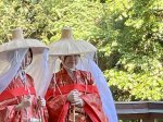 (2023) Nachi Taisha Shrine, Japan_3