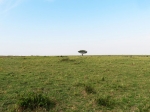 (2017) Masai Mara, Kenya_23