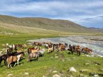 (2024) Altai Mountains, Mongolia_16