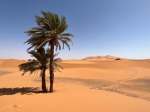 (2023) Sahara Desert, Morocco_5