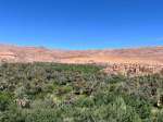(2023) Tinghir Oasis, Morocco