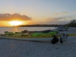 (2018) Everglades, Florida_1