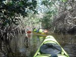 (2018) Everglades, Florida_2