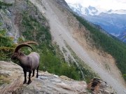 (2019) Tour de Monte Rosa, Switzerland_4