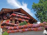 (2019) Tour de Monte Rosa, Switzerland_5