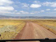 (2017) Ngorongoro, Tanzania_17