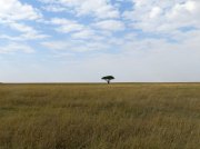 (2017) Serengeti, Tanzania_15